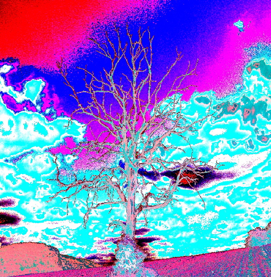 Grafik1